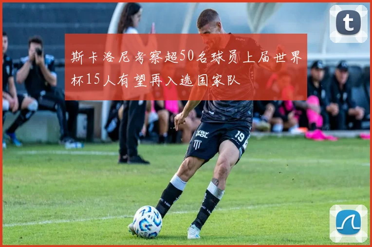 斯卡洛尼考察超50名球员上届世界杯15人有望再入选国家队