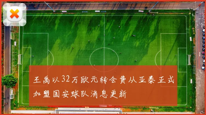 王禹以32万欧元转会费从亚泰正式加盟国安球队消息更新