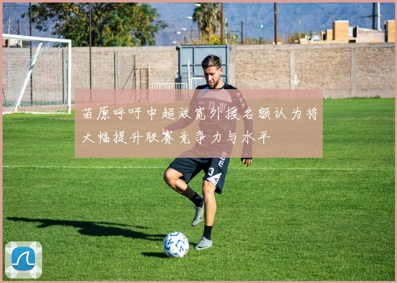 苗原呼吁中超放宽外援名额认为将大幅提升联赛竞争力与水平